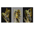 thumbnail image 3 of Ladole Rugs Botanical Green Plant Canvas Prints Wall Art - Framed Aesthetic Picture Artwork for Home, Office, Hotel and Bar Includes Hook for Hang - 40x50 cm, 3 of 4