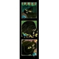 thumbnail image 2 of Seeley, Laura 7x14 Gold Ornate Wood Framed with Double Matting Museum Art Print Titled - A Cat Never Tells-Trio II, 2 of 4