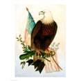 thumbnail image 2 of Posterazzi BALXBP228833 Bald Eagle with Flag Poster Print - 18 x 24 in., 2 of 4