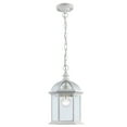 thumbnail image 2 of Trans Globe Lighting 4183 Botanica 1 Light Outdoor Small Single Pendant - White, 2 of 7