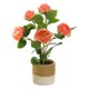 thumbnail image 1 of Flor artificial de cinco cabezas, pequeña planta de bonsái de rosa de té, flor artificial creativa, decoración del hogar, 1 of 6
