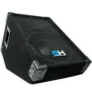 GH10M - 10 Inch Passive Wedge Floor / Stage Monitor 300 Watts RMS - PA/DJ Stage, Studio, Live Sound 10 Inch Monitor