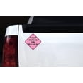 thumbnail image 2 of 6in x 6in Pink Tiny Human on Board Magnet, 2 of 3