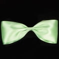 thumbnail image 2 of The Ribbon People Soft Apple Green Double Face Craft Ribbon 1" x 108 Yards, 2 of 2