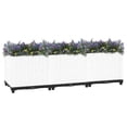 thumbnail image 2 of Cama de jardín elevada VidaXL, elegante, blanca, 120 x 40 x 38 cm, polipropileno, 2 of 9