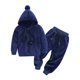 thumbnail image 1 of Gibobby Conjunto de pantalón para bebé Ropa para niños pequeños, bebés, niños y Niñass, chándal sólido unisex, manga larga, de lana cálido, Tops con capucha, c(Marina, 2-3 Años), 1 of 5