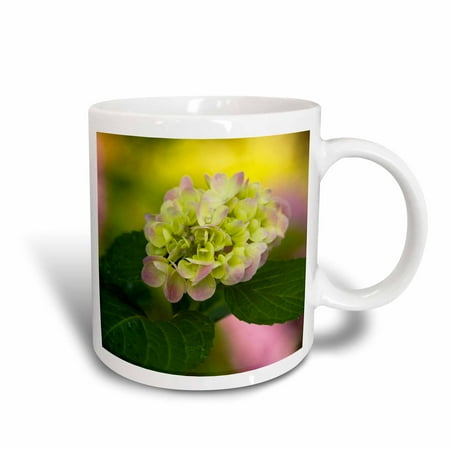 3dRose Georgia, hydrangea flower in Savannah garden - US11 JWL0176 - Joanne Wells, Ceramic Mug, 11-ounce