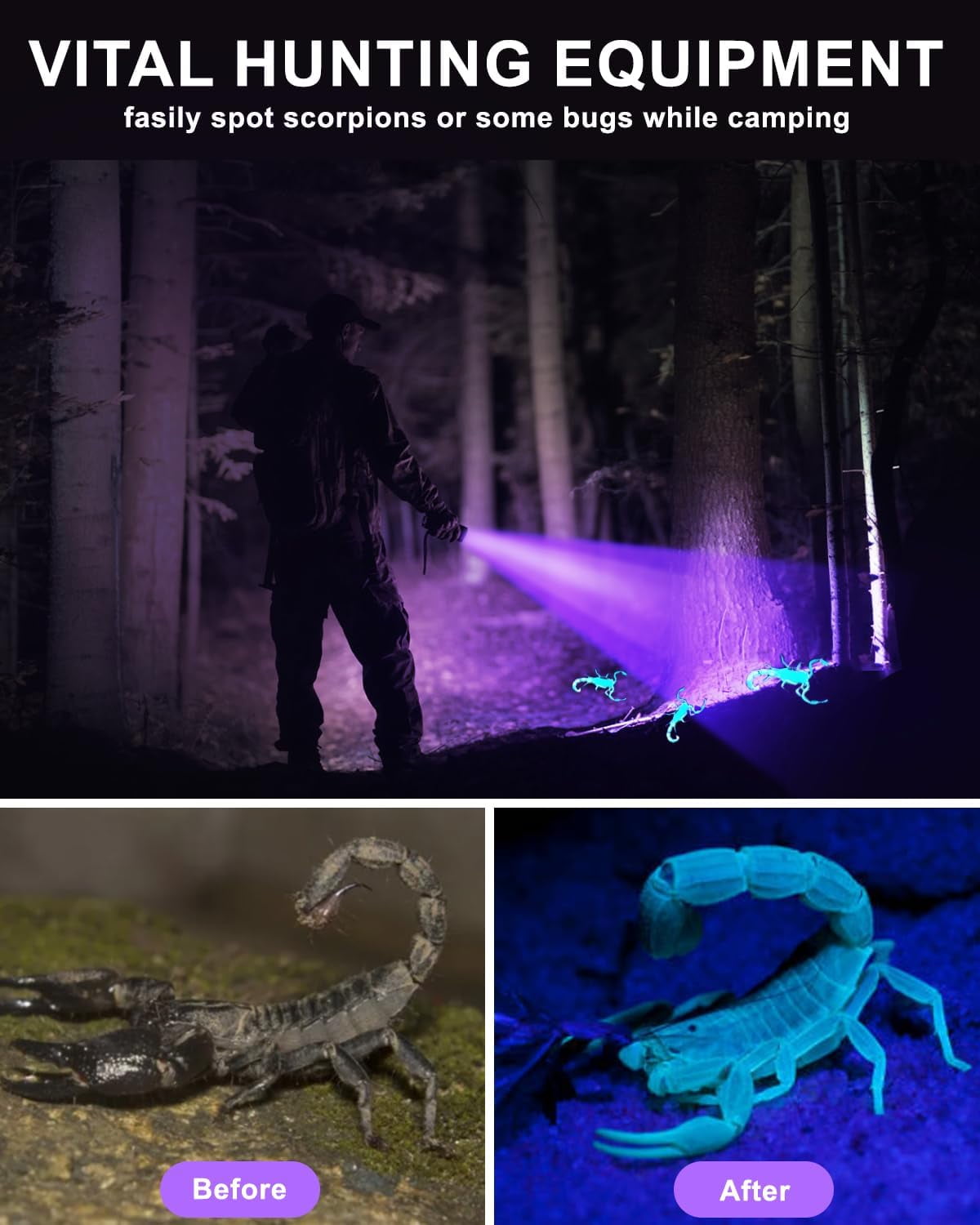 WOLFWAY Black Light 60W, Flashlights High Lumen, USB C Rechargeable, 2 Modes Powerful Lights for Pet Urine Detection, Resin Curing, Minerals, Blood Tracking, AC Leak