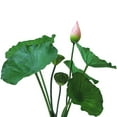 thumbnail image 2 of Tallo con alambre de hierro PU con poste hoja de loto imitación hoja de loto capullo de loto vaina de loto Estilo pastoral chino flor decorativa del salón budista - tamaño pequeño alrededor de 25 cm, 2 of 14