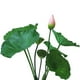 thumbnail image 2 of Vaina de hoja de flor artificial Sincero decorativa, 2 of 10