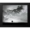 thumbnail image 2 of Aledanda 18x15 Black Modern Framed Museum Art Print Titled - Lone Tree, 2 of 5
