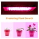 thumbnail image 2 of Labymos AC180-240V 100W 96LEDs Luz de crecimiento, 2 of 8