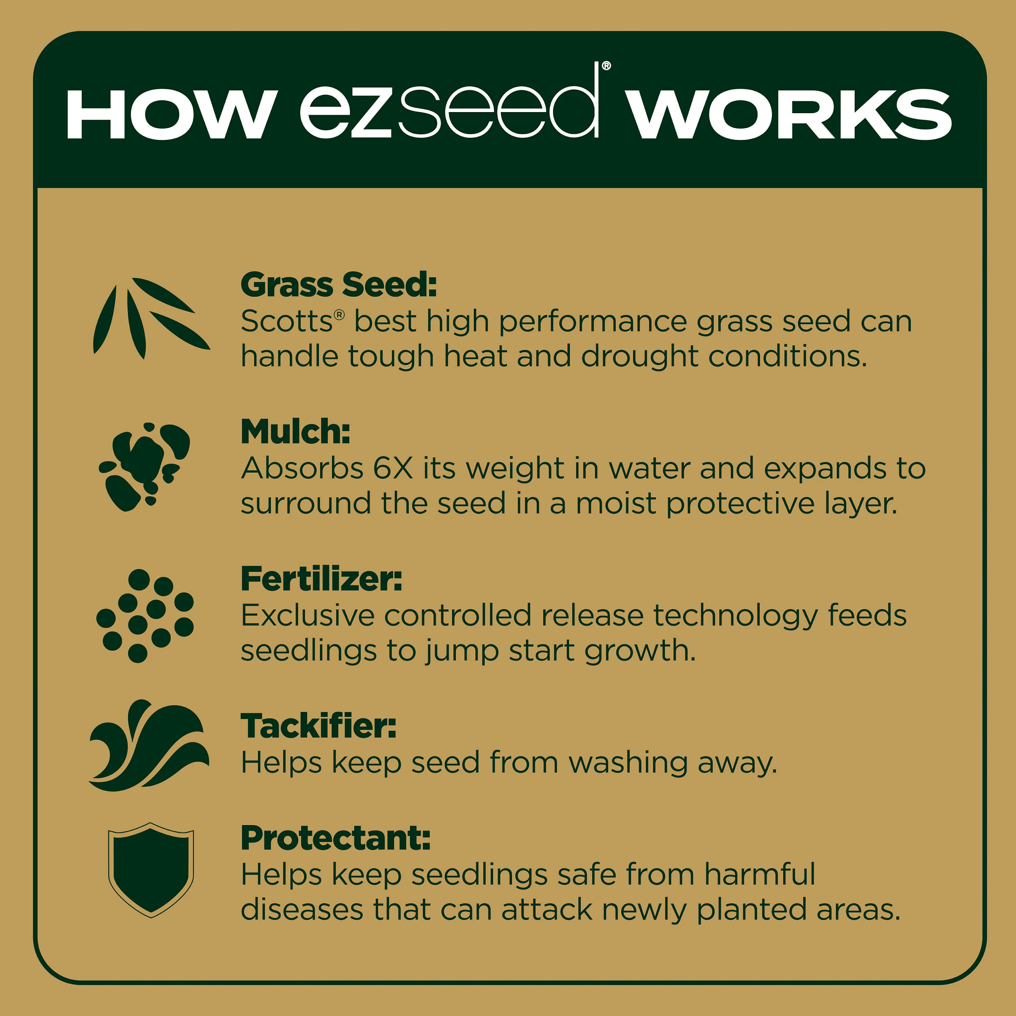 Scotts EZ Seed Patch & Repair Southern Gold Blend for Tall Fescue Lawns, 10 lbs.