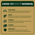 thumbnail image 2 of Scotts EZ Seed Patch & Repair Southern Gold Blend for Tall Fescue Lawns, 10 lbs., 2 of 6