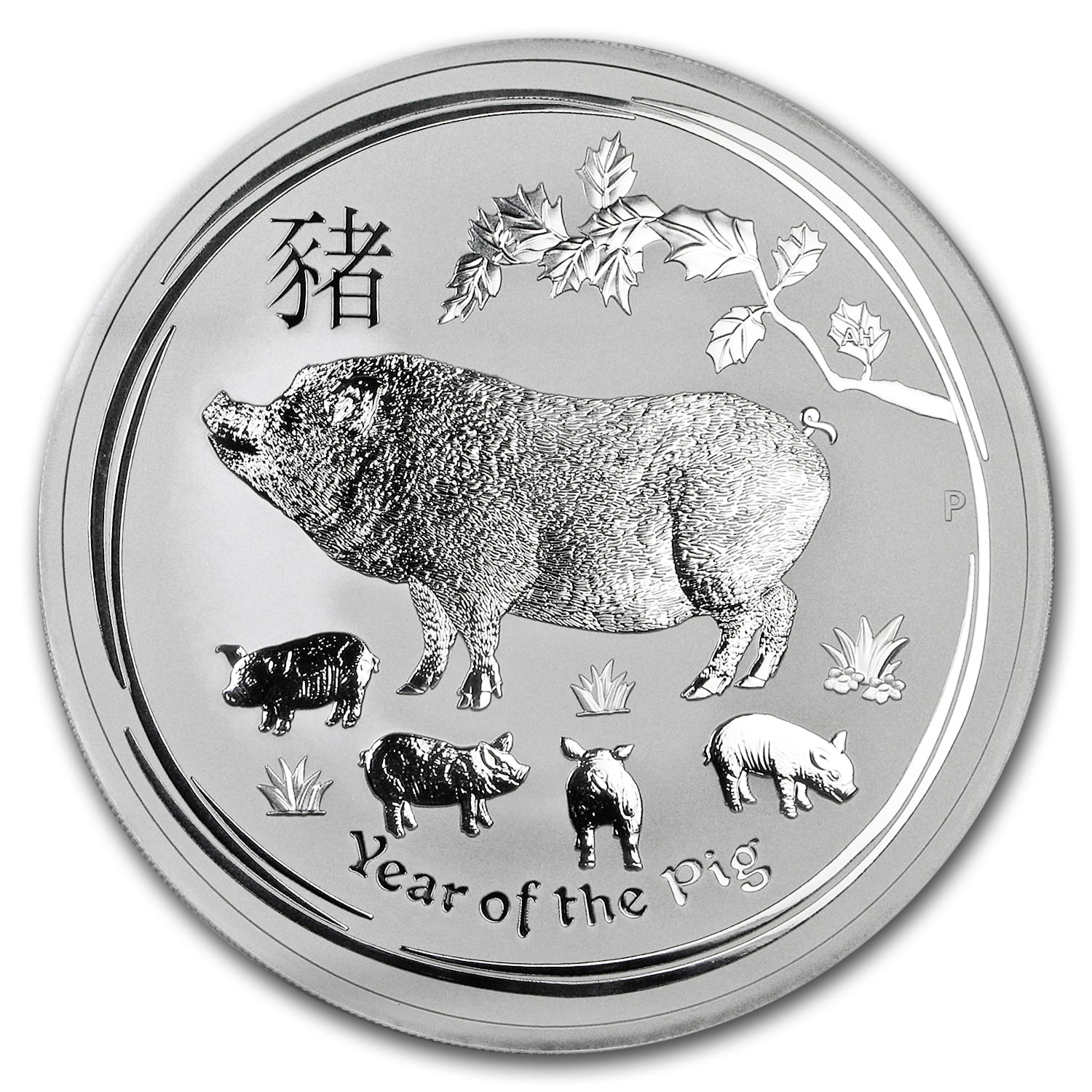 AUSTRALIAN LUNAR SERIES II 2019 YEAR OF THE PIG 1/2 OZ SILVER PROOF COIN 