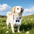 thumbnail image 4 of Halloween Pet Bandana Skeleton Ghost Pumpkin Dog Triangular Scarf Saliva Towel Porch Holiday Outfit Accessories, 4 of 6