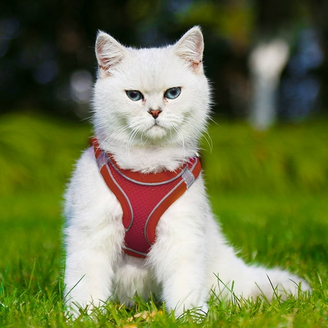 Soft Small Dog Harness And Leash Set Step In Air Mesh Puppy Harness Leash Easy To Walk Dog Harness Vest Adjustable Reflective No Pull Dog Harnesses For Small Dogs Cats Dog Sled for Weight