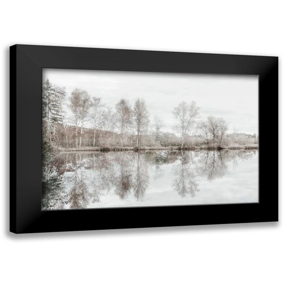 Weisz, Irene 14x11 Black Modern Framed Museum Art Print Titled - Taupe Water Mirror