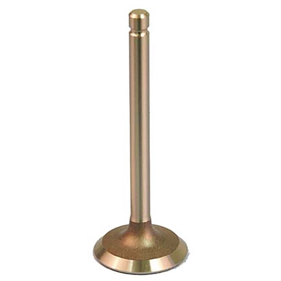 Intake Valve | EZGO FE295 and FE350 Golf Cart | 295cc / 350cc - New Style