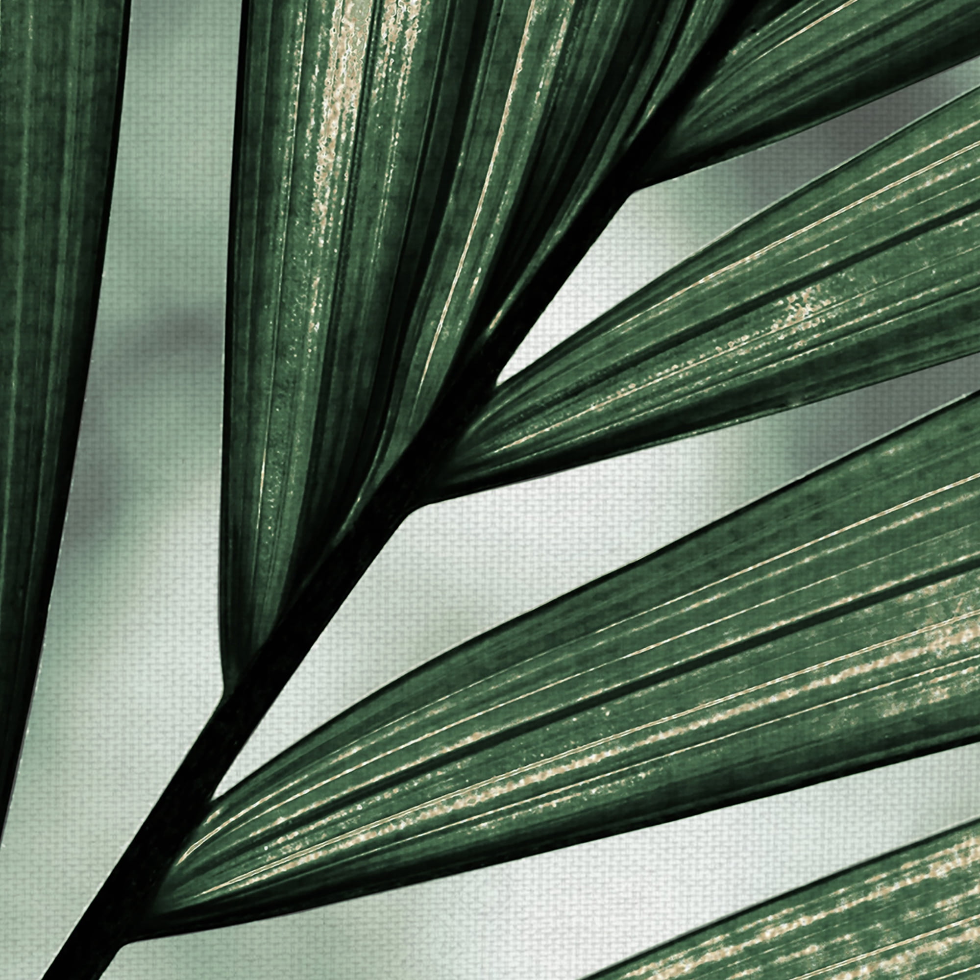 Masterpiece Art Gallery Palm Frond By Belle Maison Canvas Art Print 18" x 24"