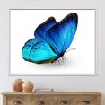 thumbnail image 3 of Designart Papillon bleu vibrant ART MURAL À CADRE FLOTTÉ, 3 of 4