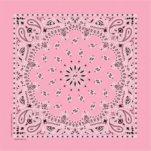 Bandanna Co Paisley, Light Pink, 22" x 22" (5th)