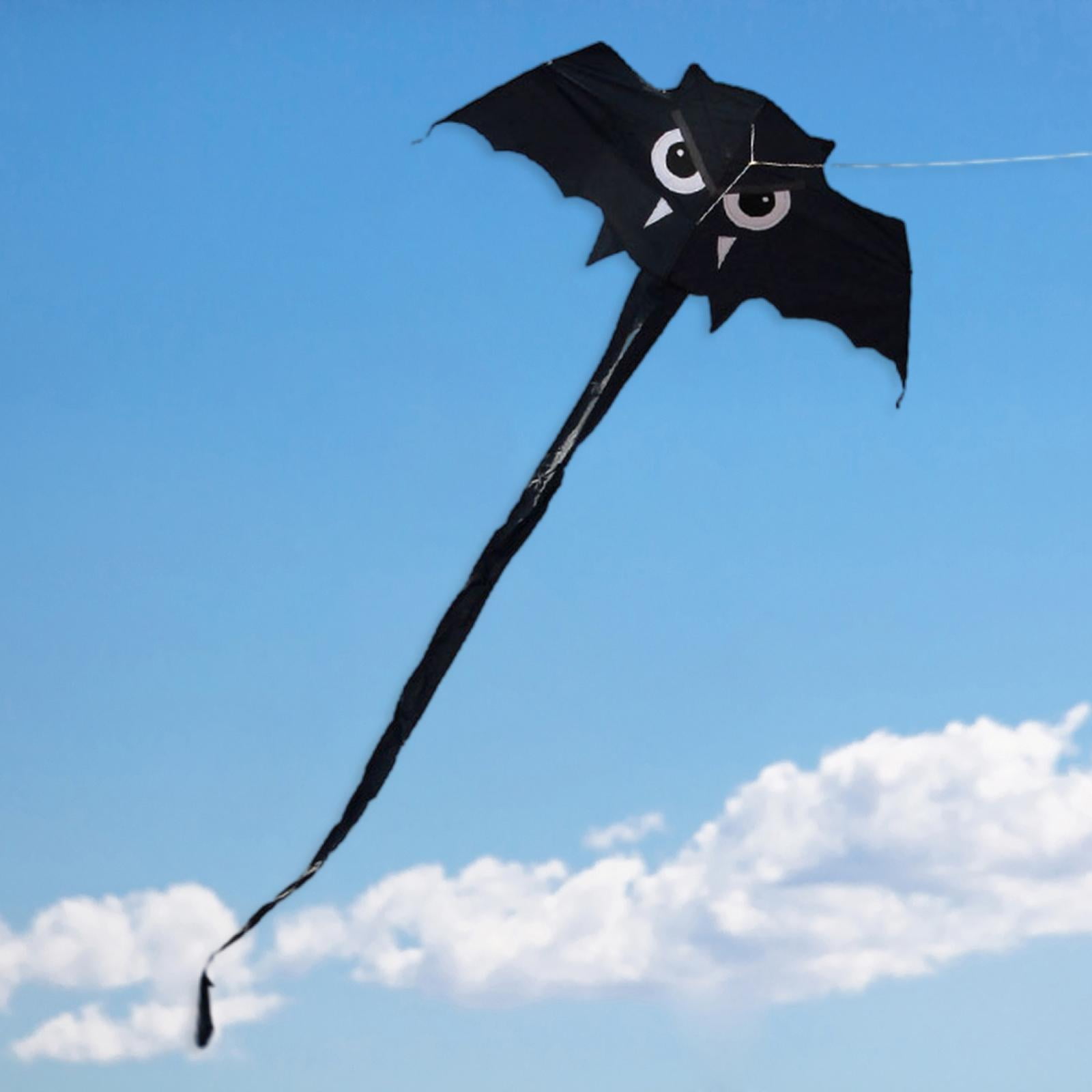 QccHieUs Vivid Flying Line Kite Long Tail Animal Toys Fun Large 59x22inch Sports Game Games for Park Adults Children Beginners Holiday Black