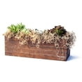 thumbnail image 6 of Proflora Preserved Green Spanish Moss, Natural 530 CU in - Floral Arranging Supplies, 6 of 7