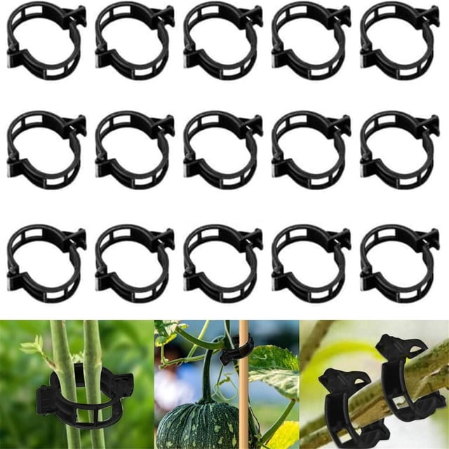 100PC Plant Fixing Clip Secured Plastic Plant Clip Upgrade Plant Support Clips Garden Clips For Climbing Plants Plastic Clips Plant Support Clips Tomato Grape Vine Vegetables Plant Fixing Clips