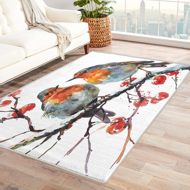 Robin Area Rug 6x9, Watercolor Rugs for Living Room, Japanese Carpet, Soft Non Slip Machine Washable Fluffy Easy Clean, for Bedroom Dining Room Floor Home Decor Rug Km&-364
