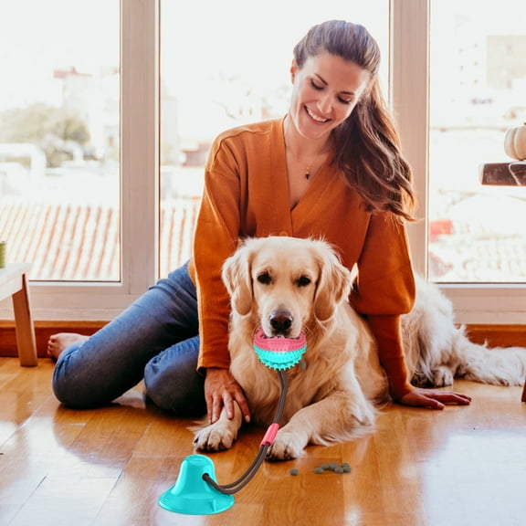 Interactive Dog Toy Bundle Toys For Mental Stimulation And Play Dog Puzzle Treat Food Dispensing Toy For Small Medium Dogs, Xinsrenus Under $5! Interactive Dog Toy Bundle Toys