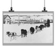 thumbnail image 2 of Print: Dog Sled Team, circa 1900, 2 of 4