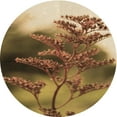 thumbnail image 1 of Ahgly Company Machine Washable Indoor Round Transitional Dark Bronze Brown Area Rugs, 8' Round, 1 of 7