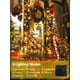 thumbnail image 4 of Guirnalda de luces solares EEW 400 LED, paquete de 4 unidades, impermeables, 8 modos, 4 of 6