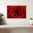 thumbnail image 2 of Elephant Stock Damp Red Rose Wall Art - Horizontal Canvas Wall Art - Living Room Wall Decor - Floral And Botanical Canvas - Red And Black Decor - 12" x 8", 2 of 4