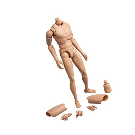 1/6 Scale Male Action Figure Body Scale Male Body Narrow Adjustable ...
