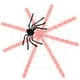 thumbnail image 1 of Telaraña de Halloween de terror con modos de iluminación LED, decoración temática de festival de Halloween, accesorio de 12 pies, para decoraciones de Halloween, interior, exterior, patio, jardín, fi, 1 of 4