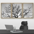 thumbnail image 2 of wall26 - 3 Piece Framed Canvas Wall Art - Dead Tree Branch, Black and White - Modern Home Art Stretched and Framed Ready to Hang - 16"x24"x3 NATURAL, 2 of 5