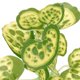 thumbnail image 3 of unbranded Planta De Acuario Artificial Para Y En Peceras, 3 of 6