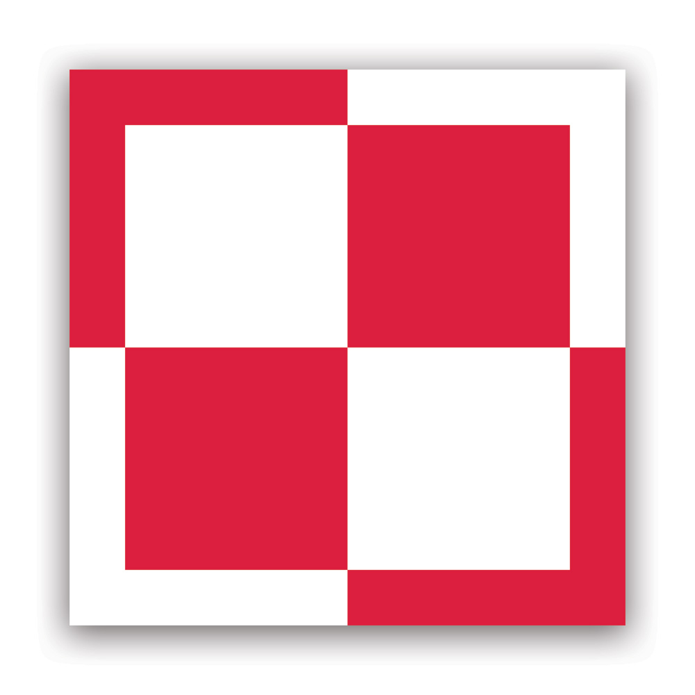 Adesivo Moto Polish Shocker - Die Cut Decal Per Auto, Moto, PC, Vetro - Polonia PL - Foto 3