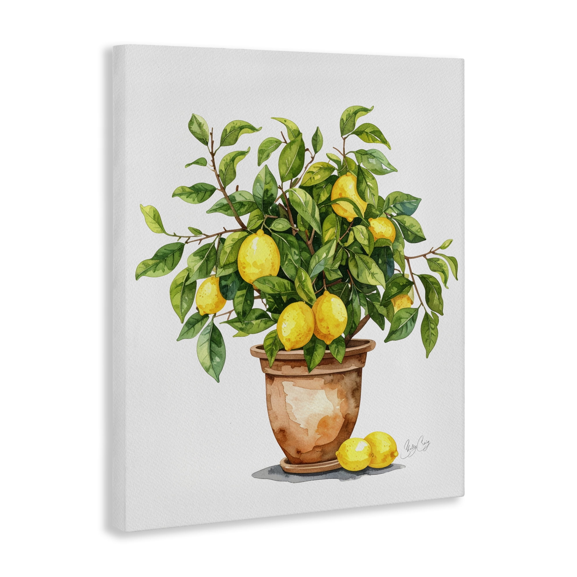 Stupell Industries Potted Lemon Tree Canvas Wall Art, design by Shelly Craig