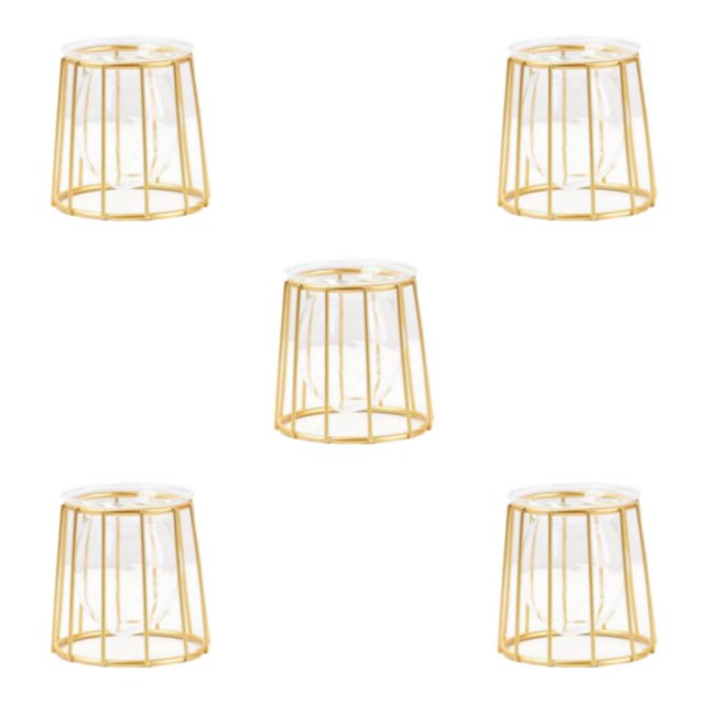 Smilepp Sleek Metal Wire 3D Geometric Flower Vase Versatile Desktop Plant Holder Gold line 5Set