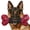 1 PC-Bacon-Black, variant on Tough Dog Toys for Aggressive Chewers: Beef Flavored Long Lasting Dog Bones for Large Dogs, Indestructible Dog Chew Toys to Keep Them Busy, Large Dog Toys for Medium & Large Breed