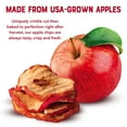 thumbnail image 2 of GourmetNut Simple Slices Baked Apple Chips (Red Apple, 0.75 Ounce (Pack of 8 Bag)) HB5, 2 of 7