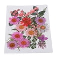 thumbnail image 1 of Hojas Prensas Flores Secas Zulema 25x Mixtas Cubierta de Teléfono DIY, 1 of 8