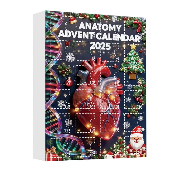 Cheapark 2025 Anatomy Advent Calendar - Funny Acrylic Human Organ Miniatures, Interactive Science-Inspired Surprises, Whimsical Christmas Countdown Decor for Home/Office & Educational Gift