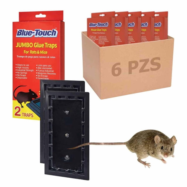 6 Cajas De Pegamento Para Ratones Con 2 Trampas C/U Bluetouch