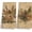 2pcs Set-dragonfly, variant on Fall Leaves Pumpkin Kitchen Towels Decorative 16x24 Set of 2 | Rustic Farmhouse Autumn Seasonal Dish Towels Cloths Dishcloths Tea Towel Gifts, Cottagecore Bathroom Kitchen Hand Towel Decor
