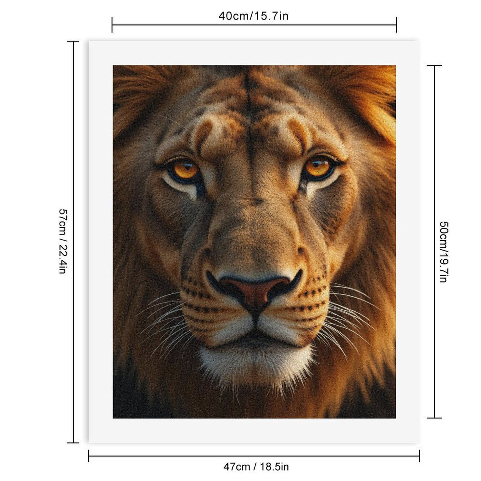 Paint By Numbers Kit for Adults Beginner - DIY Lion Fierce Gaze Close Up Canvas Painting Kits for Adults, Frameless Paint By Number for Adults for Home Wall Decor 16x20 Inch