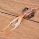 thumbnail image 4 of Señuelo de Pesca Cebo de Pesca Luminoso Suave BuyWeek, 4 of 8